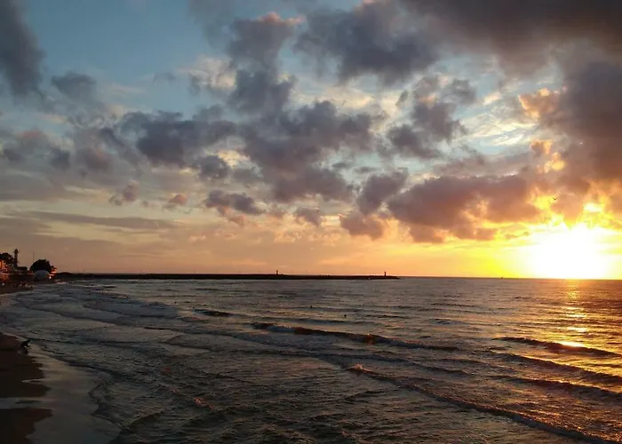 Albatros Alb Апартаменты *